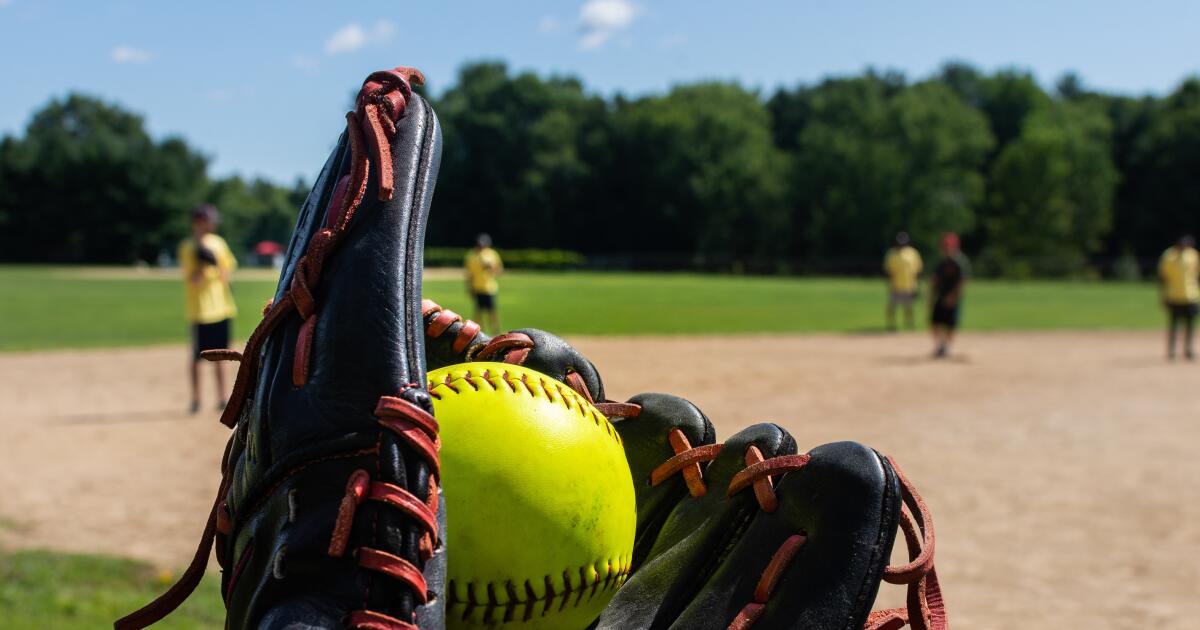 High school baseball and softball: Monday's scores