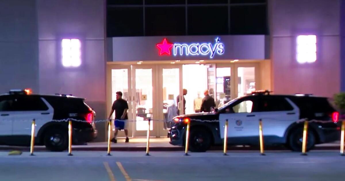 Thieves use sledgehammers in smash-and-grab at Sherman Oaks mall