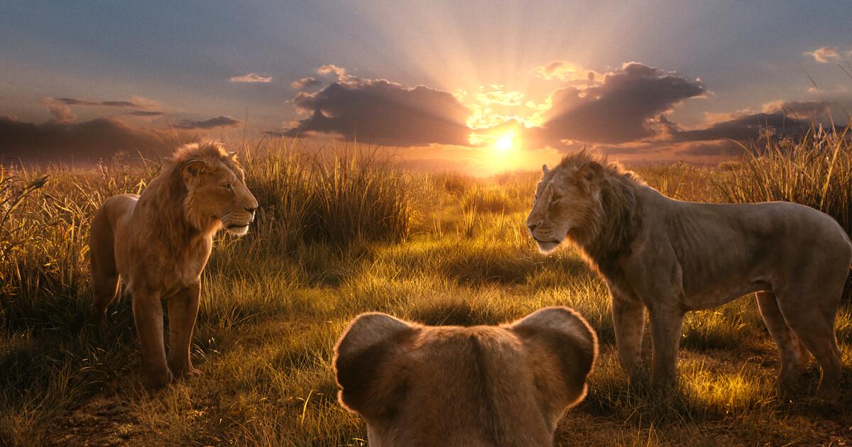 ‘Lion King’ composer sues comedian for botched translation