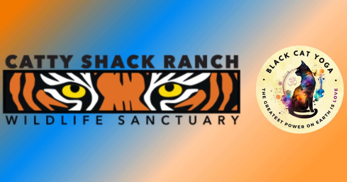 ‘Downward Dog with the Big Cats’ returns to Catty Shack Wildlife Sanctuary – Action News Jax