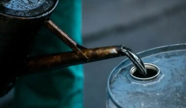 Oil Marketing Companies Filed Fake Claims Worth Billions Senate Told