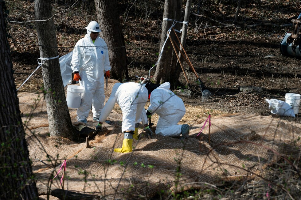 DOJ files complaint against Washington over Potomac sewage spill