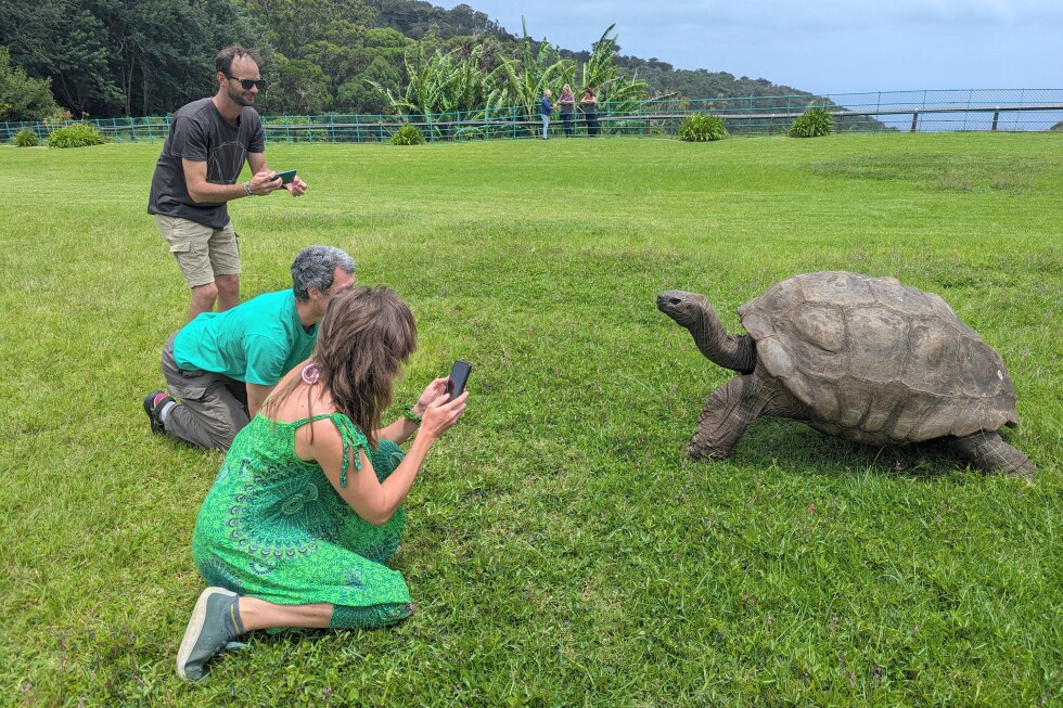 World's oldest known tortoise is still alive