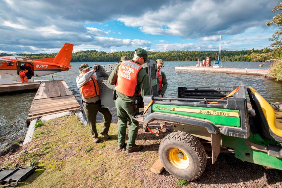 Remote Lake Superior island's wolf population is thriving