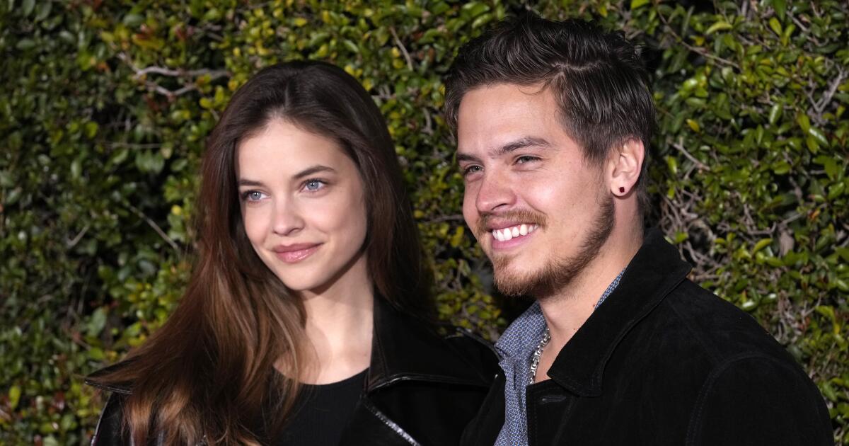 Dylan Sprouse tackles trespasser at his Hollywood Hills home