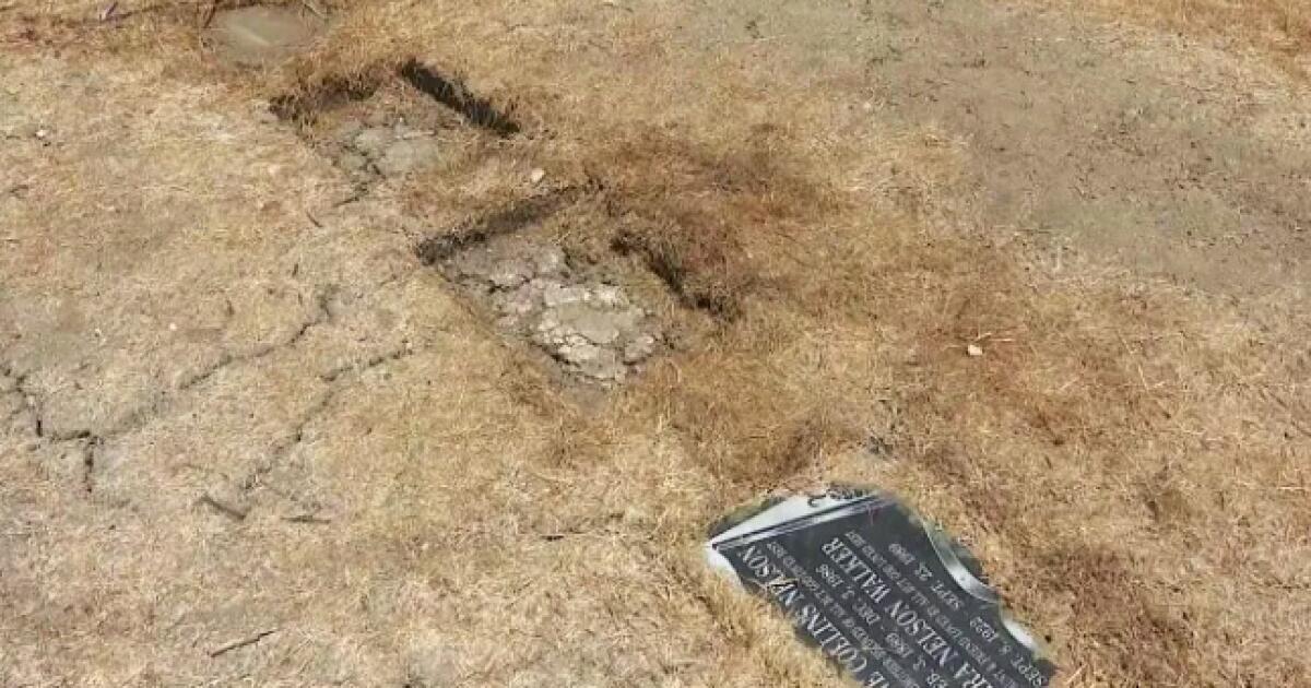 Two dogs stabbed, one killed while defending historic L.A.-area cemetery, heartbroken owner says