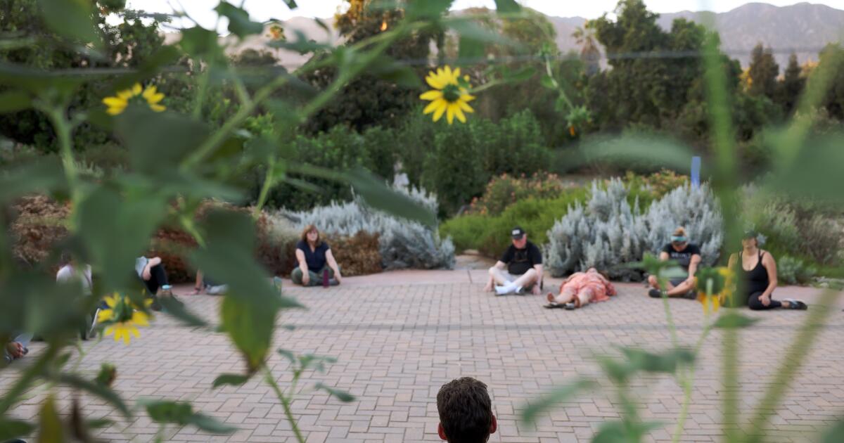 Letters to the Editor: You don’t have to trek out to the forest to enjoy nature’s beauty