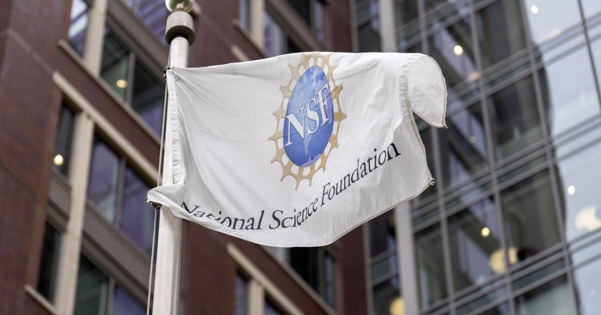 Trump purges National Science Board: Scientists warn of AI shift