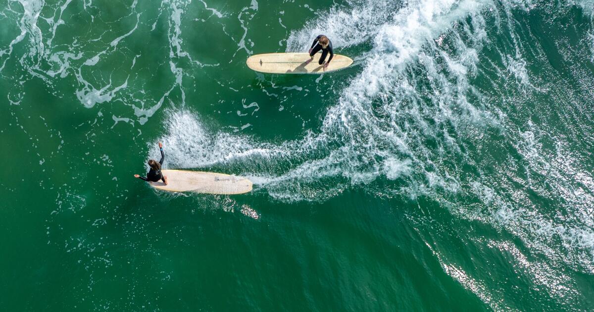 Aggressive shark postpones Huntington Beach surf competition