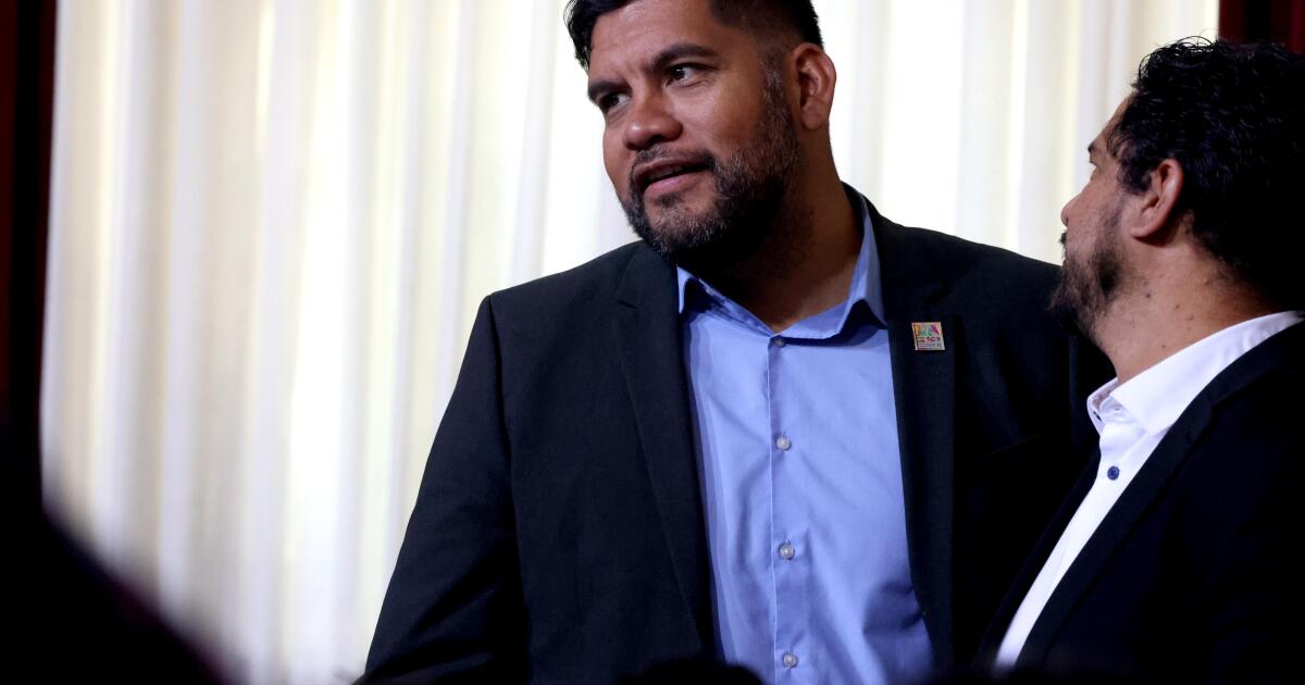 L.A. councilman wants to let noncitizens vote in city elections