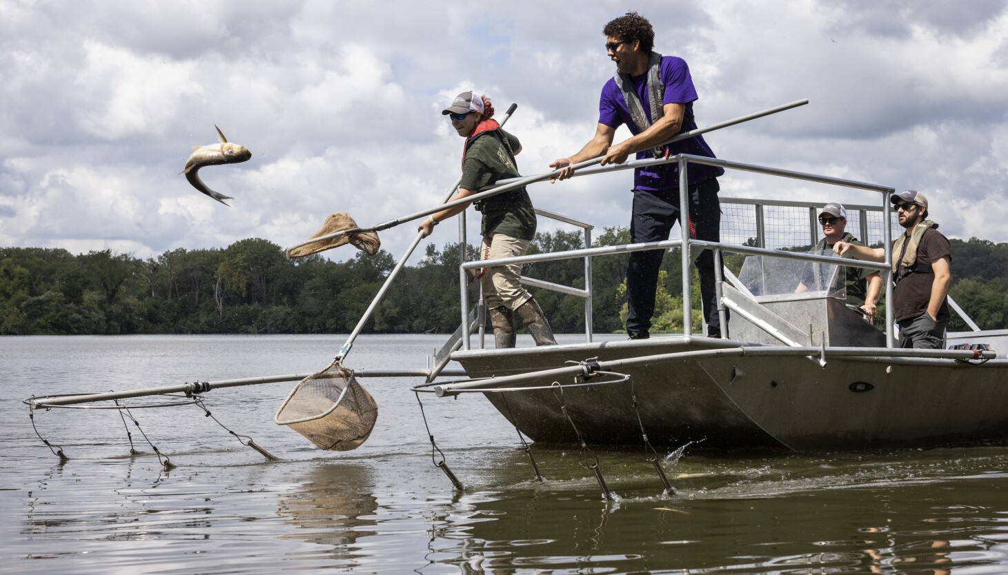Trump administration wants to cut Illinois out of Great Lakes carp plan