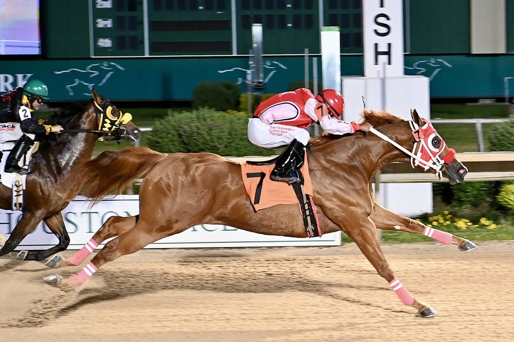 Attendees can enjoy whiskey tasting and horse races at The Sam Houston Race Park on June 13. (Courtesy Sam Houston Race Park)