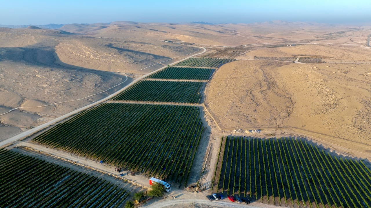 The Jerusalem Post - Israel News