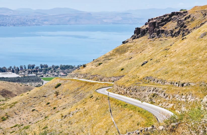 The Ascent Road: The winding mountain road ascends from the shores of the Kinneret toward the plateau, offering a physical sense of rising altitude and a transition into the sharper air of the Southern Golan.