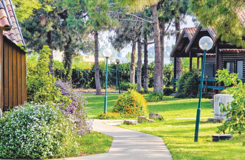 Resort Flora: Flourishing green pathways and vibrant blooms line the walking trails of Mitzpe Hashalom, immersing visitors in a quiet landscape designed to cultivate personal restoration.