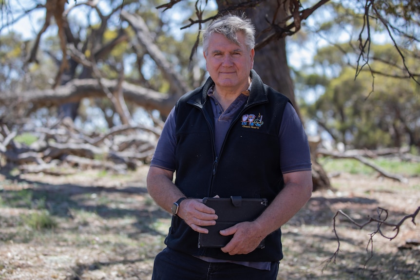 A man in a blue vest stand in front of a large tree.