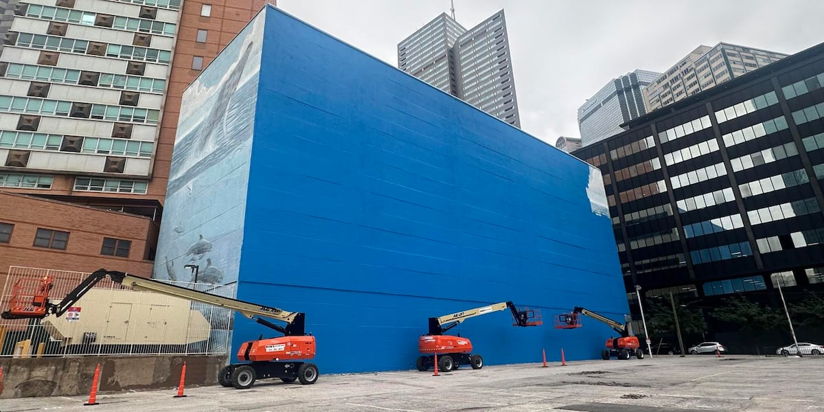 Artist behind Anchorage whale mural says federal law was violated when Dallas work was painted over for FIFA World Cup