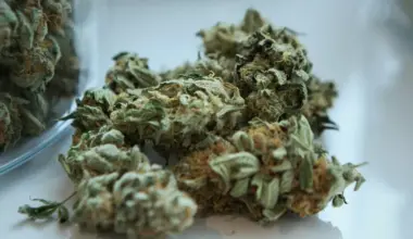 Judge clears Texas businesses to keep selling smokable hemp products — for now