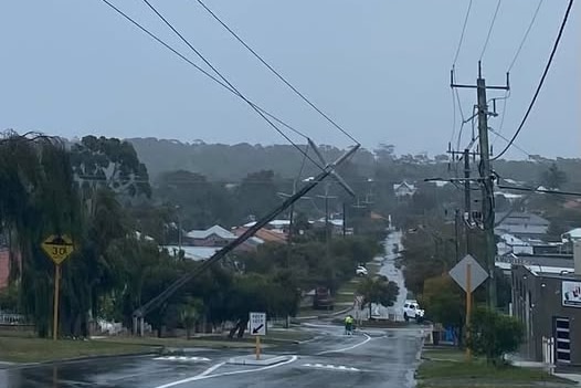 A fallen powerline 