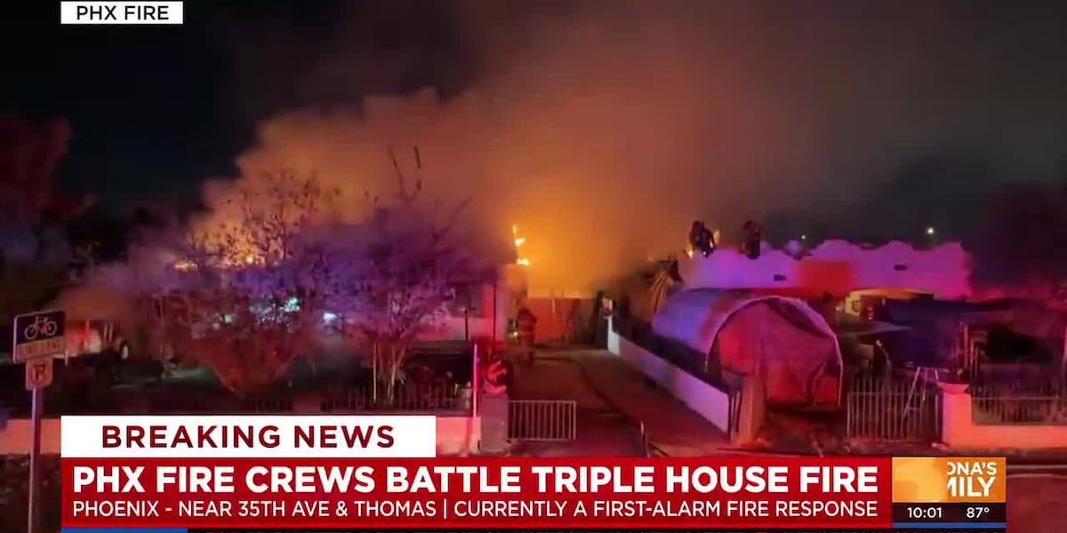 Pets pulled from flames as fire damages 3 Phoenix homes