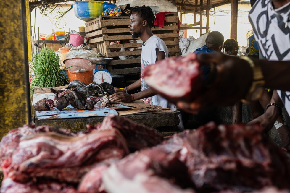 As Ebola scourges Congo, experts warn of link to eating wild animals