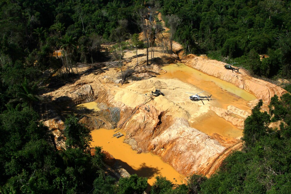 Gold prices spark mining rush in Brazil's Amazon, fueling deforestation