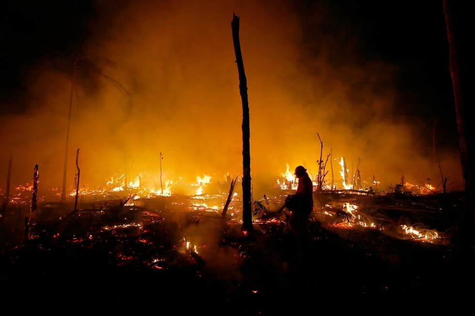 Brazil's Amazon deforestation rates drop, but El Nino could threaten recovery