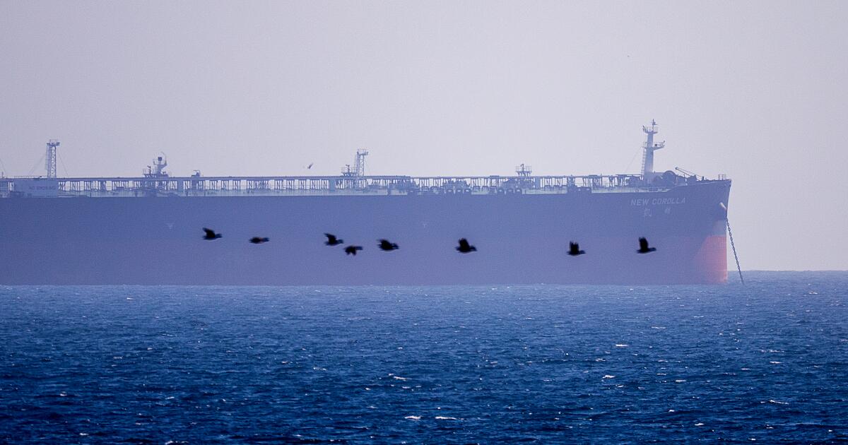 Letters to the Editor: Improving supply chain infrastructure is key to mitigating disruption