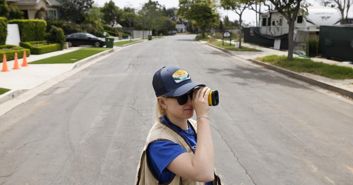 The effort to save dying and disappearing trees in L.A.'s burn scars
