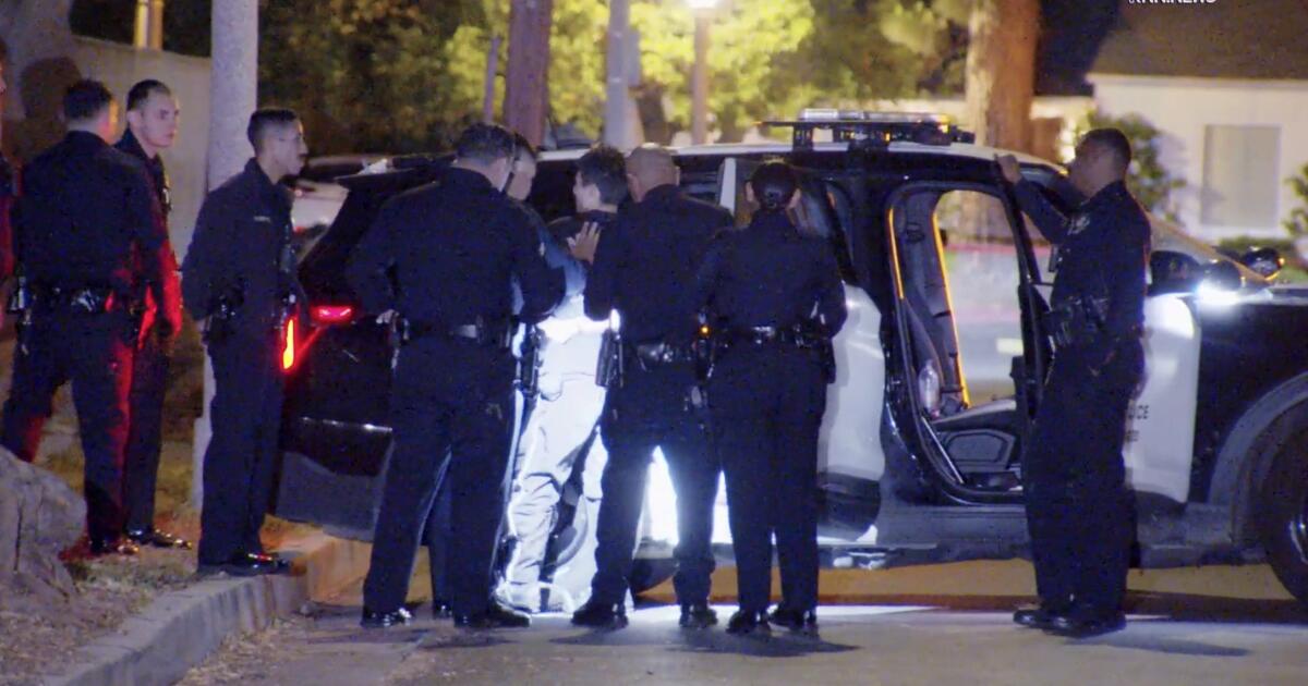 Suspect caught in San Fernando Valley tied to rash of break-ins, South American theft ring, police say