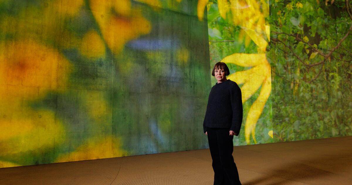 A Diana Thater video installation at LACMA's David Geffen Galleries