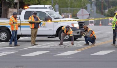 Oily birds rescued after pipeline rupture sends crude into L.A. River
