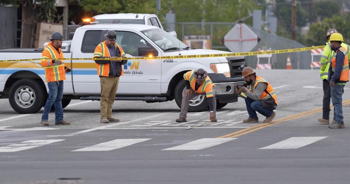 Oily birds rescued after pipeline rupture sends crude into L.A. River