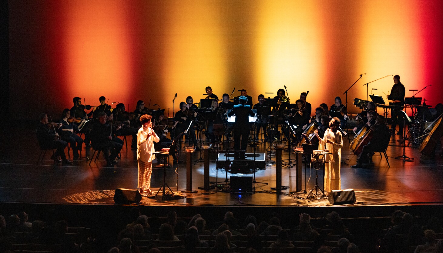 Chicago Sinfonietta musicians say pause in programming came as 'shock to everyone' and amid audience declines