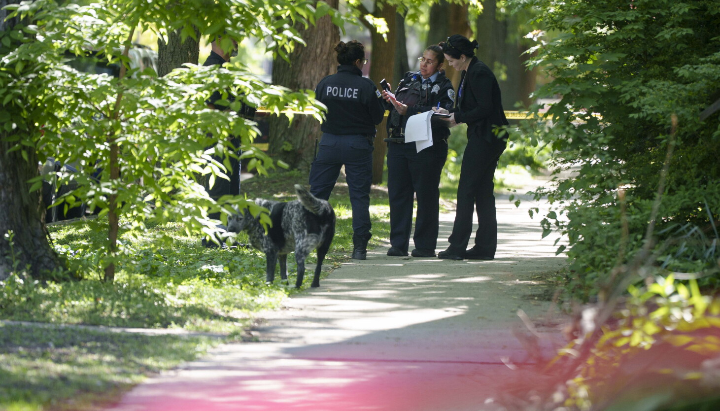Rogers Park man charged in fatal Edgewater shooting