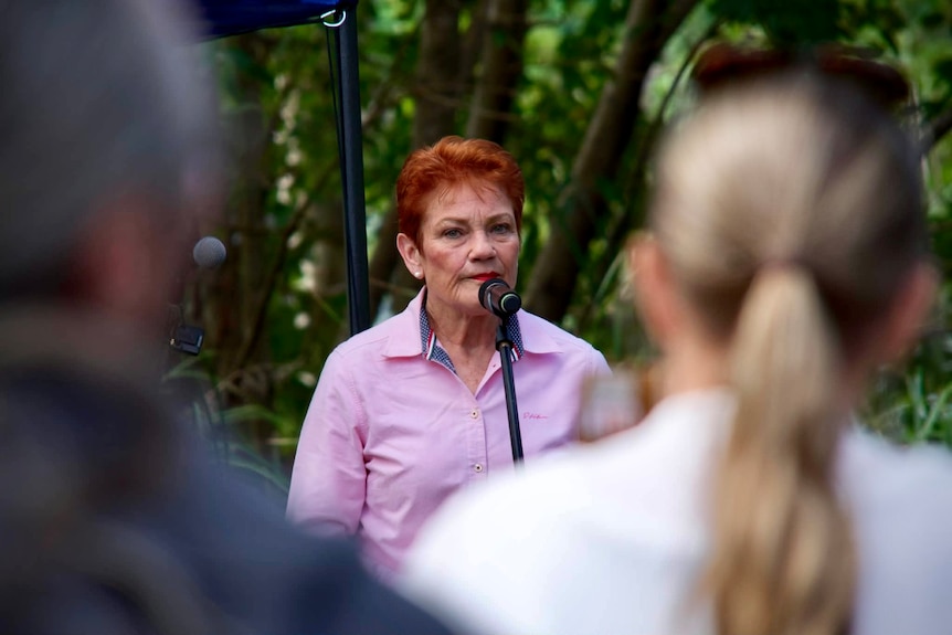 pauline hanson as seen from the crowd as she addresses bbq attendees