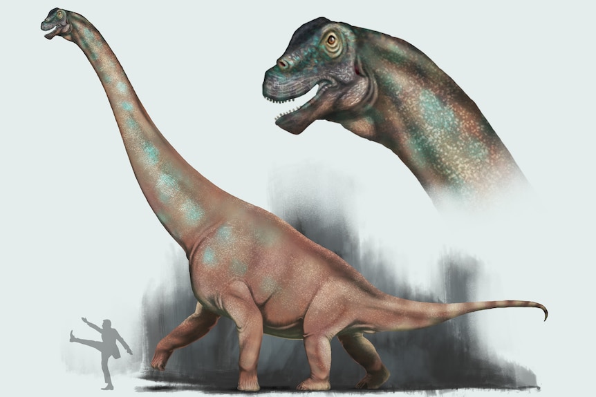 Artistic drawing of a giant dinosaur next to a human silhouette.