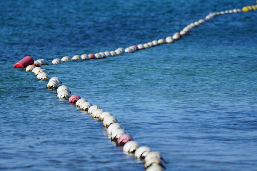 ocean with net in the middle