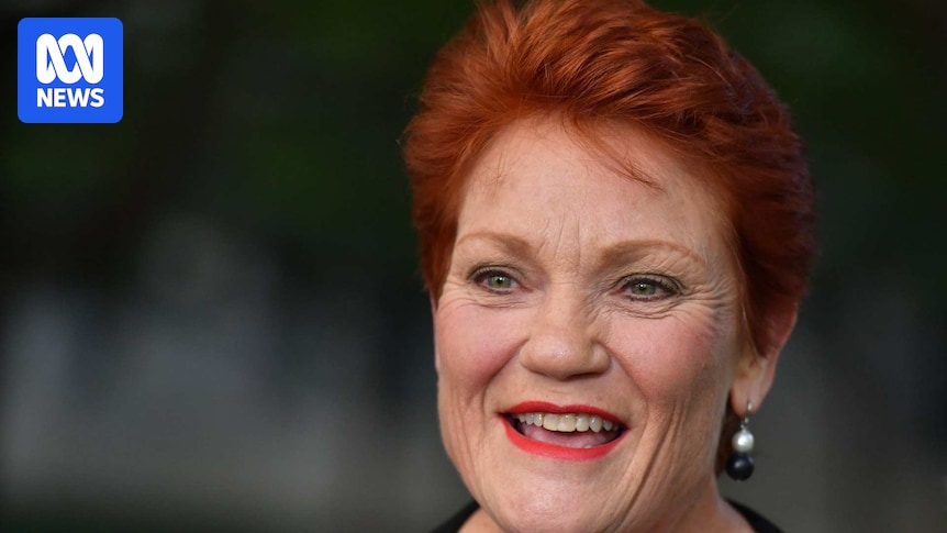 Voters consider alternatives to major political parties as One Nation popularity surges