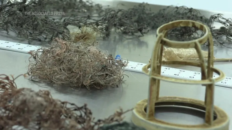 Sharp debris closeup with ruler adds investigative intrigue