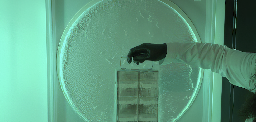 Dallas-Based Colossal and U.S. Fish and Wildlife Service Launch BioVault Initiative for Endangered Species » Dallas Innovates