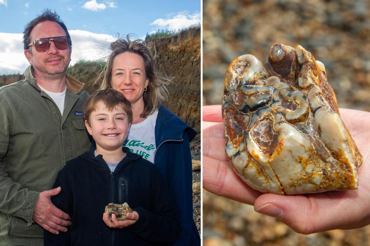 11-year-old UK boy finds 1.8M-year-old elephant tooth on beach in wild coincidence