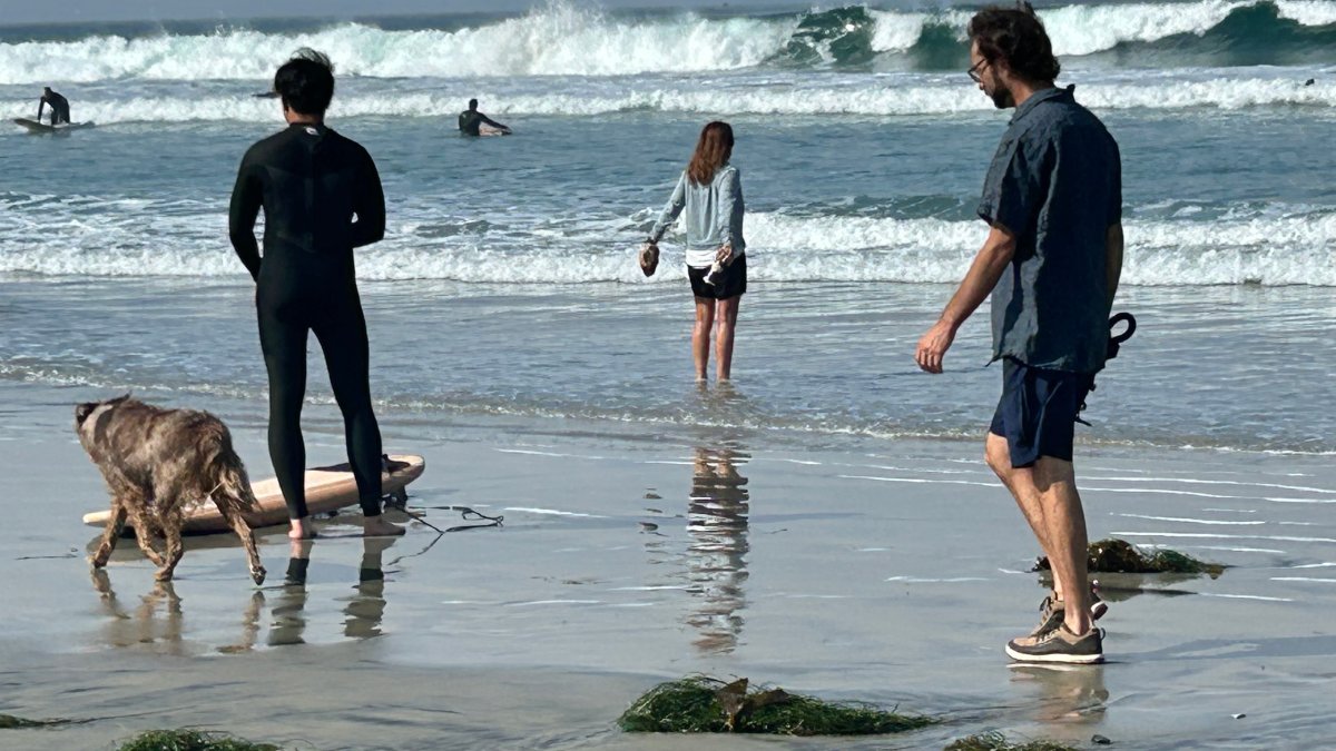 Rip current danger continues along all San Diego beaches as summer begins – NBC 7 San Diego