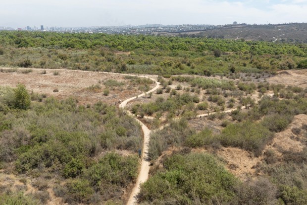 Imperial Beach, CA - Trails in the Tijuana River Valley on Thursday, June 11, 2026, in Imperial Beach, CA. (Luke Johnson / The San Diego Union-Tribune)