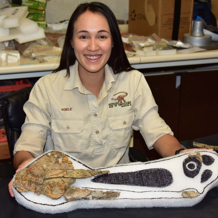 Palaeontologist with a dinosaur fossil in a cast.