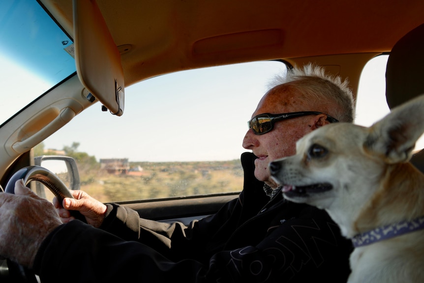 a man with black sunglasses holding the steering wheel of a vehicle with a white small dog sitting next to him