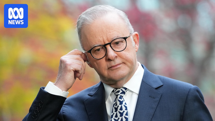 'Volcano on the sea floor': Labor is aware of the challenges posed by One Nation, budget