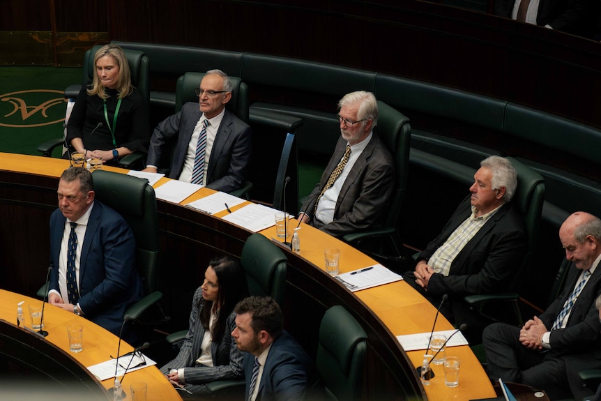the lower house chamber of Tasmania's parliament with sitting members.
