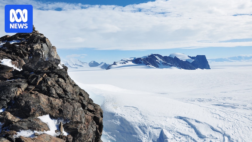 West Antarctic winter ice fails to form in Bellingshausen Sea in area 'size of France'