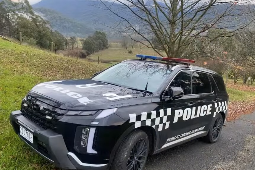 A black car with white checks and writing that says "police" parked half on grass, half on a gravel driveway near a bare tree.